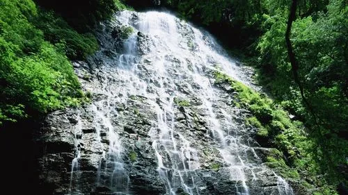 节能环保
